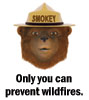 Smokey Bear - Only You Can Prevent Wildfires