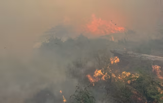 Chelan Hills Fire