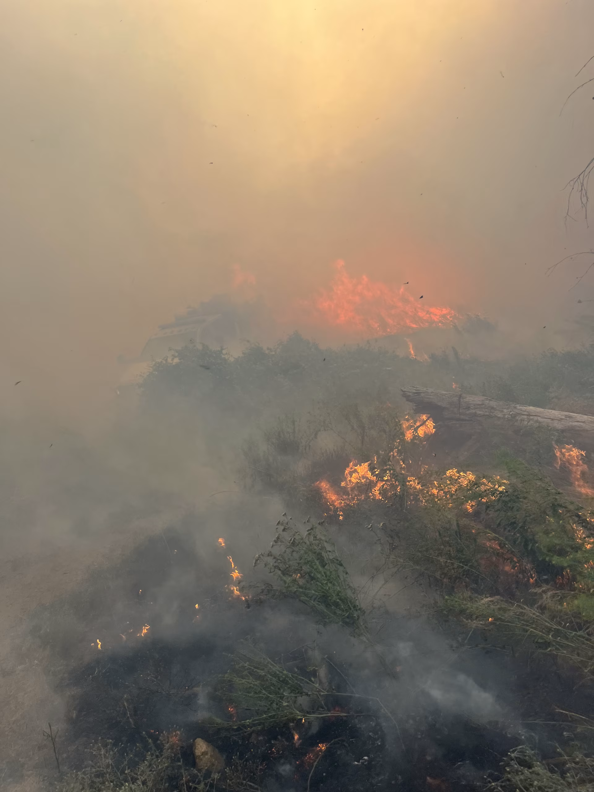Chelan Hills Fire